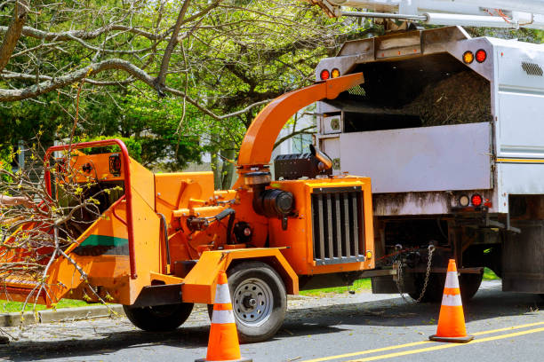 Mulching Services in West Freehold, NJ